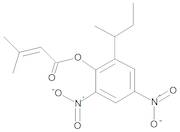 Binapacryl 10 µg/mL in Cyclohexane