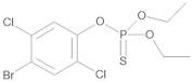 Bromophos-ethyl 10 µg/mL in Isooctane