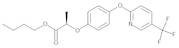 Fluazifop-P-butyl 10 µg/mL in Acetone
