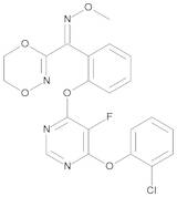 Fluoxastrobin 10 µg/mL in Acetonitrile
