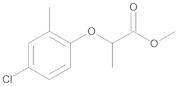 Mecoprop-methyl ester 10 µg/mL in Isooctane