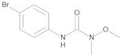 Metobromuron 10 µg/mL in Acetonitrile
