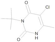 Terbacil 10 µg/mL in Isooctane