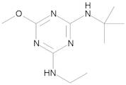 Terbumeton 10 µg/mL in Cyclohexane