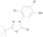Oxadiazon-hydroxy 10 µg/mL in Toluene