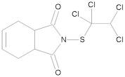 Captafol 100 µg/mL in Cyclohexane