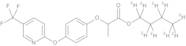 Fluazifop-butyl D9 100 µg/mL in Acetone