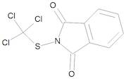 Folpet 100 µg/mL in Cyclohexane
