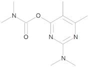 Pirimicarb 100 µg/mL in Cyclohexane