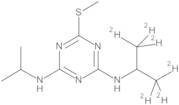 Prometryn D6 (isopropyl D6) 100 µg/mL in Acetone