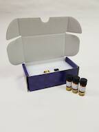 Diphthalate Ester Standard - Di-n-heptyl phthalate, neat