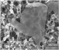Graphene nanoplatelets (6-8 nm thick x 5 microns wide)