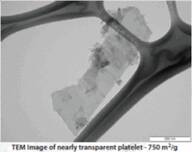 Graphene nanoplatelets aggregates (sub-micron particles, surface area 300m2/g)