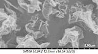 Graphene oxide (0.8-1.2nm thick x 1-15 microns wide, made by the Staudenmaier Method)