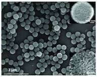 High Surface area Silica nanoparticles, Large, particle size ~900-1000 nm, surface area ~700 m2/g, (KCC-1 L1)