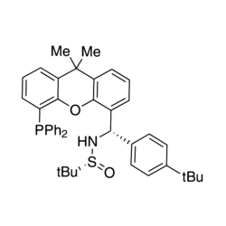 [S(R)]-N-[(S)-[4-(1,1-Dimethylethyl)phenyl][5-(diphenylphosphino)-9,9-dimethyl-9H-xanthen-4-yl]methyl]-2-methyl-2-propanesulfinamide, 95%
