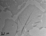 Nickel/palladium alloy nanoparticle on graphene (G-Ni33Pd67)