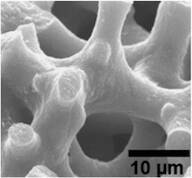 Palladium on carbon - 1 wt % loading, activated synthetic carbon powder