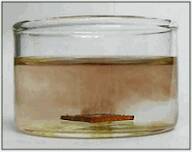 Palladium nanoparticles, pure, (<20nm) in water at 100mg/L (surfactant and reactant-free, stabilized with < 0.01 mmol/l of citrate)