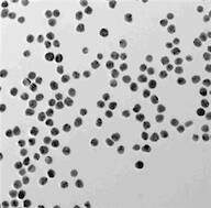 Silver nanoparticles (20nm, 0.02mg/ml in 2mM sodium citrate, abs. max. 405)