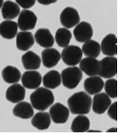 Gold Nanoparticles (5nm, 1 OD, supplied in 0.1mM stabilizing surfactant, 515-520nm abs. max.)