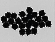 Gold NanoUrchins (70nm diameter, 1 OD, 0.1 mM in phosphate-buffered saline, 600nm abs. max.) >95...