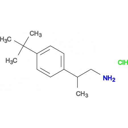 [2-(4-tert-butylphenyl)propyl]amine hydrochloride 10-391562