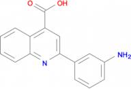 Aminophenyl Quinoline Carboxylic Acid