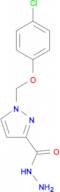 1-(4-Chloro-phenoxymethyl)-1 H -pyrazole-3-carboxylic acid hydrazide