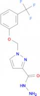 1-(3-Trifluoromethyl-phenoxymethyl)-1 H -pyrazole-3-carboxylic acid hydrazide