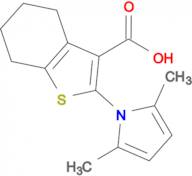2-(2,5-Dimethyl-pyrrol-1-yl)-4,5,6,7-tetrahydro-benzo[ b ]thiophene-3-carboxylic acid