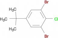 4-Chloro-3,5-dibromo-tert-butylbenzene