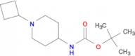 4-(Boc-Amino)-1-cyclobutyl-piperidine