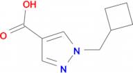1-Cyclobutylmethyl-1H-pyrazole-4-carboxylic acid