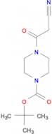 t-Butyl 4-(cyanoacetyl)-1-piperazinecarboxylate
