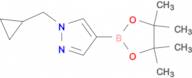 1-(Cyclopropylmethyl)-4-(4,4,5,5-tetramethyl-1,3,2-dioxaborolan-2-yl)-1H-pyrazole