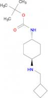tert-Butyl (1R*,4R*)-4-[(cyclobutylmethyl)amino]cyclohexylcarbamate