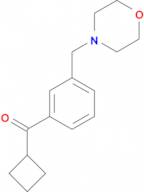 cyclobutyl 3-(morpholinomethyl)phenyl ketone