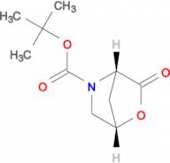 (1S,4S)-tert-Butyl 3-oxo-2-oxa-5-azabicyclo[2.2.1]heptane-5-carboxylate