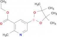 Ethyl 2-methyl-5-(4,4,5,5-tetramethyl-1,3,2-dioxaborolan-2-yl)nicotinate