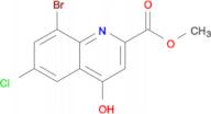 Methyl 8-bromo-6-chloro-4-hydroxyquinoline-2-carboxylate