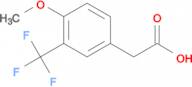2-(4-Methoxy-3-(trifluoromethyl)phenyl)acetic acid