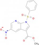 Methyl 5-nitro-1-(phenylsulfonyl)-1H-pyrrolo[2,3-b]pyridine-3-carboxylate