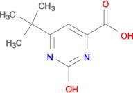 6-tert-butyl-2-hydroxy-4-pyrimidinecarboxylic acid