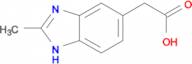 (2-methyl-1H-benzimidazol-5-yl)acetic acid