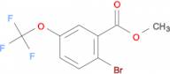 Methyl 2-bromo-5-(trifluoromethoxy)benzoate