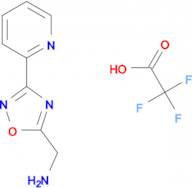 {[3-(2-pyridinyl)-1,2,4-oxadiazol-5-yl]methyl}amine trifluoroacetate