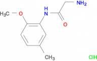 N~1~-(2-methoxy-5-methylphenyl)glycinamide hydrochloride