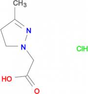 (3-methyl-4,5-dihydro-1H-pyrazol-1-yl)acetic acid hydrochloride