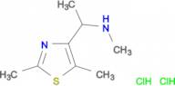 [1-(2,5-dimethyl-1,3-thiazol-4-yl)ethyl]methylamine dihydrochloride